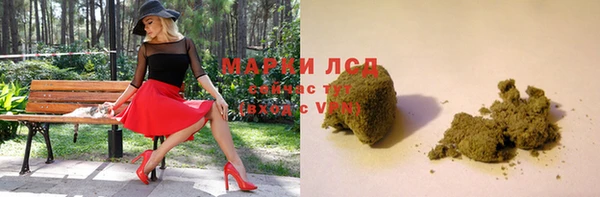 эйфоретик Алзамай