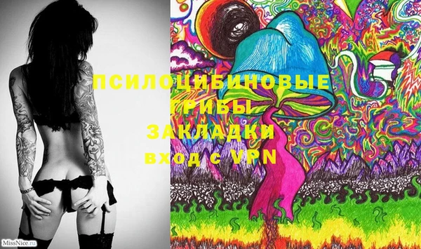 эйфоретик Алзамай